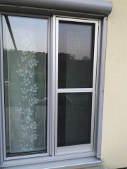 Grossansicht in neuem Fenster: MMInsektenschutz_1